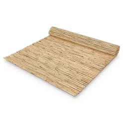 Bambou Blooma 3 X H.1,5 M